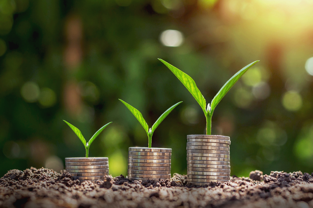 Sulaiman Al Rajhi Development Financing Foundation